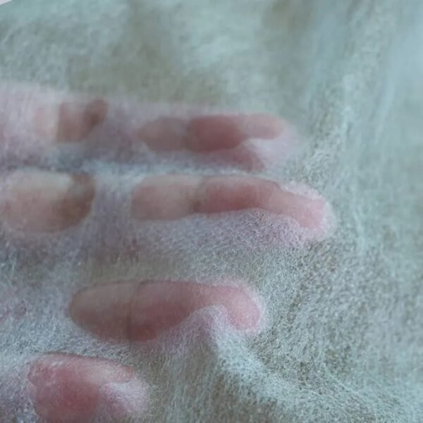 Hydrophilic Nonwoven Fabric